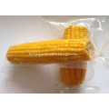 high grade sweet corn